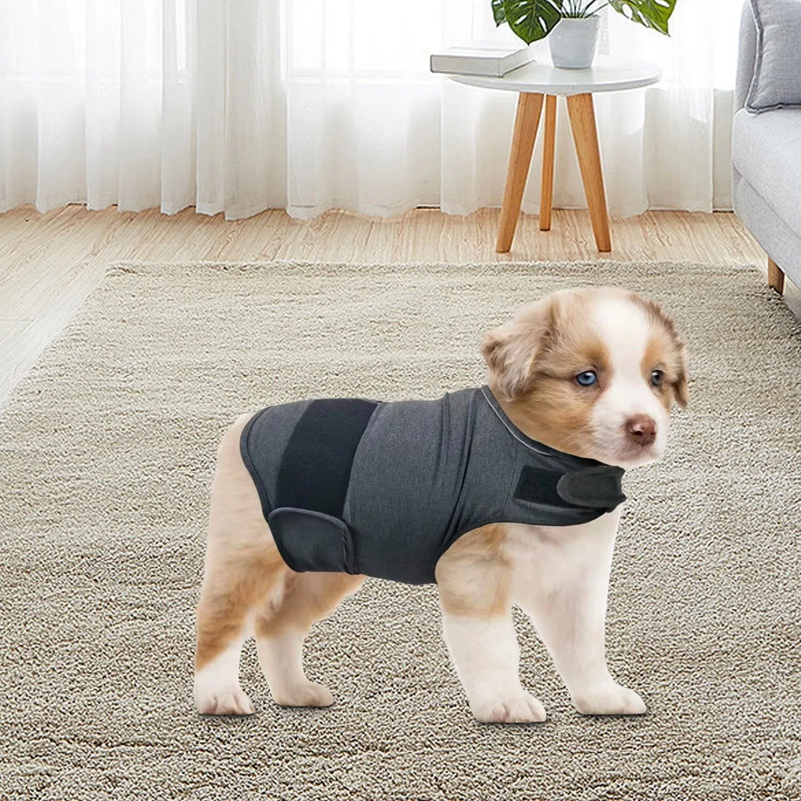 AnniePaw Dog Thunder shirts  Anxiety Jacket Thunder Vests For Dogs