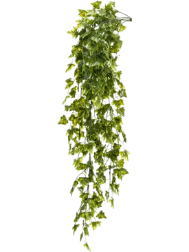 Ivy Artificial Plant Premium Faux 75cm Height