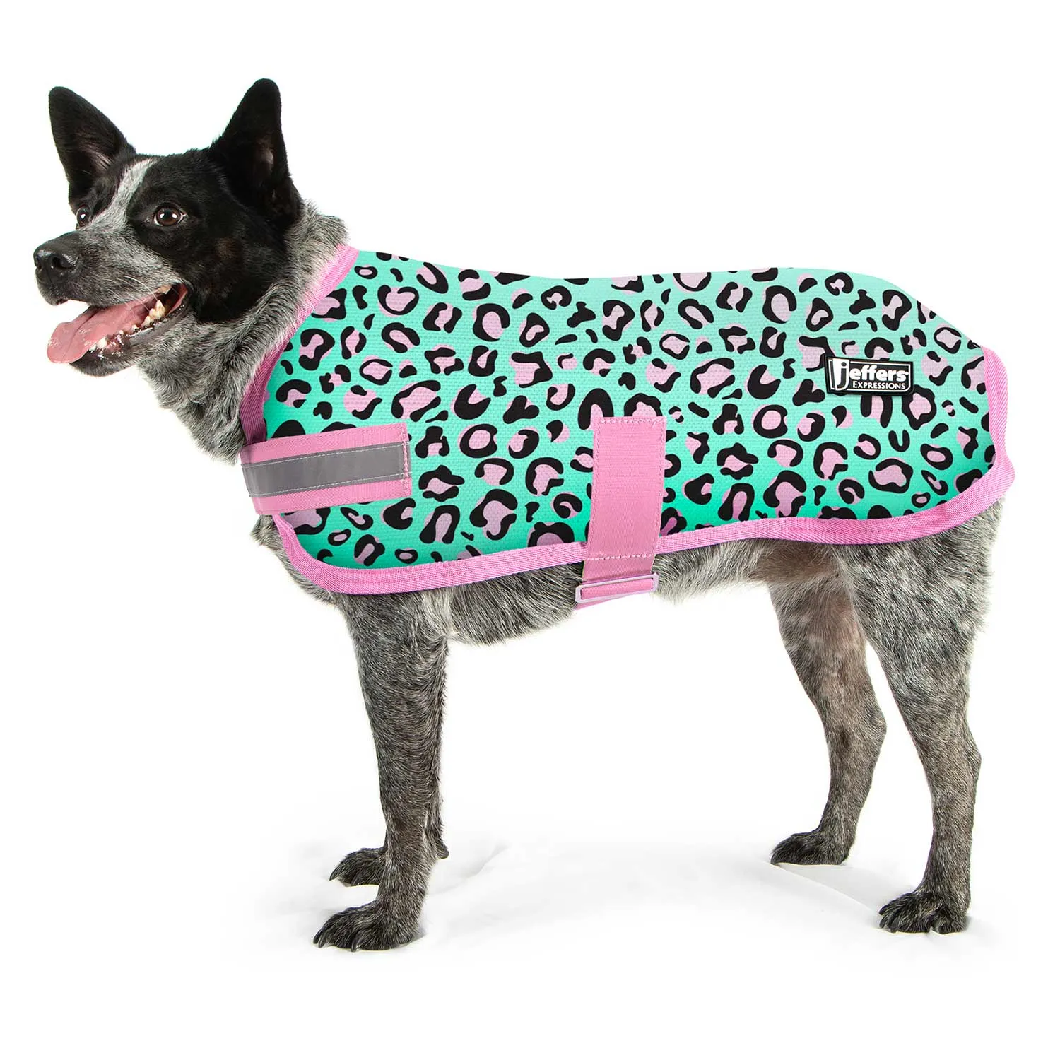 PRE-SALE! Jeffers Expression Dog Coat, Party Cheetah