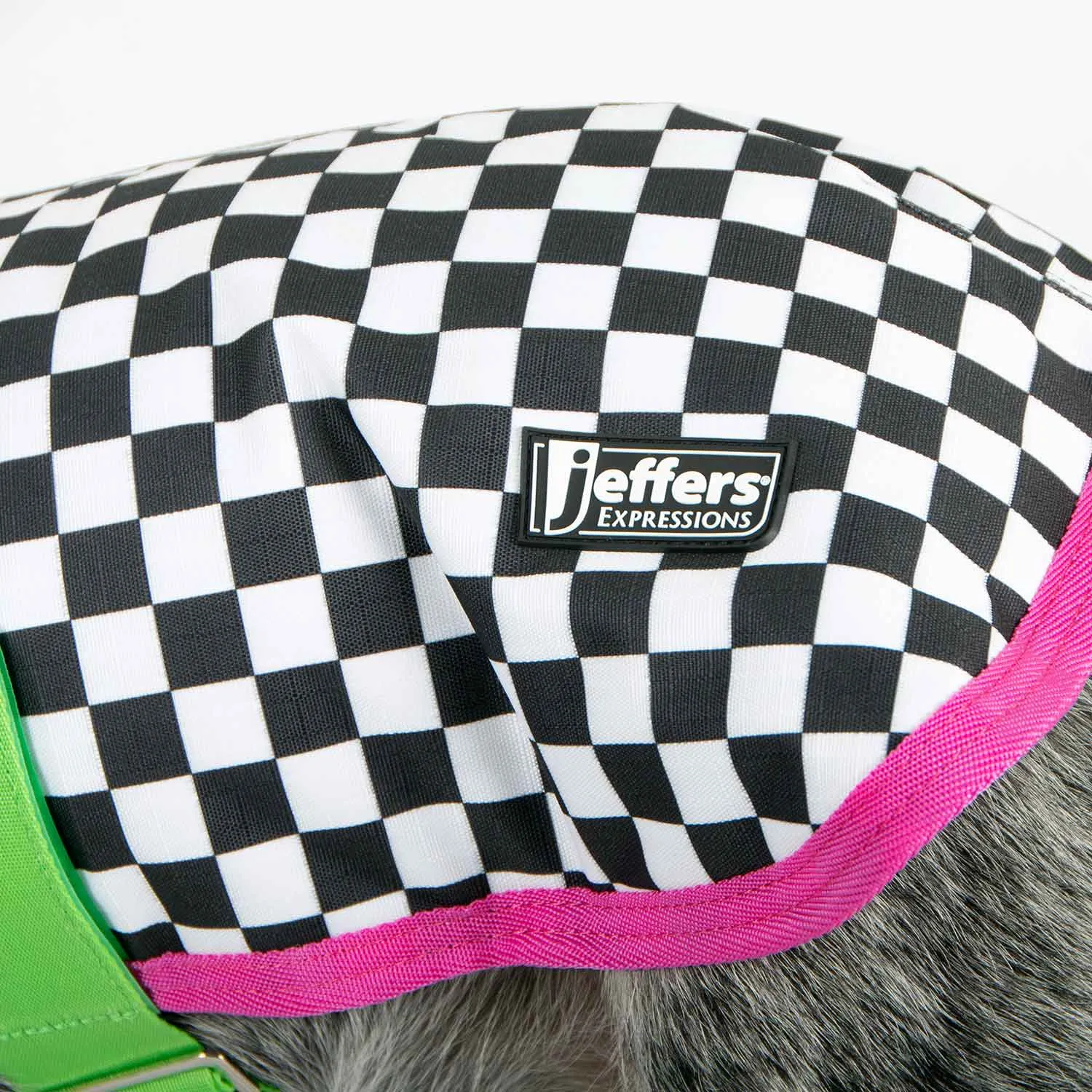 PRE-SALE! Jeffers Expression Dog Coat, Skater Pup