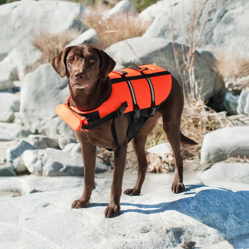 Zippypaws Adventure - Life Jacket XL